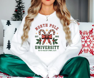 North Pole university