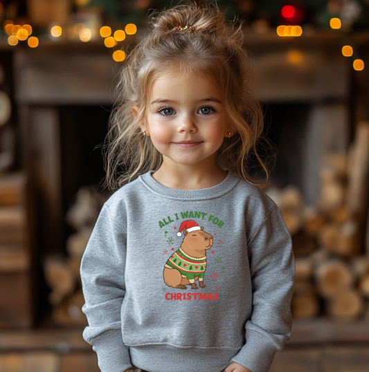 Youth Capy Christmas